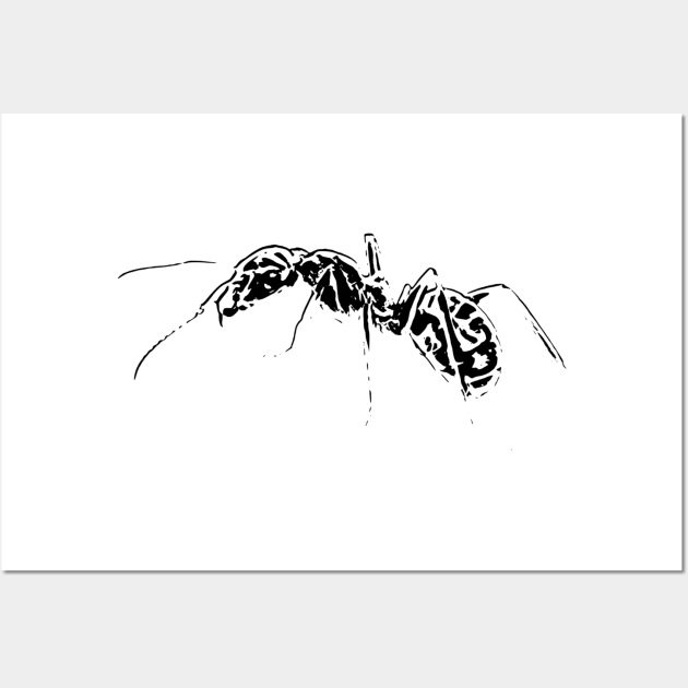 Ant Wall Art by Nimmersatt